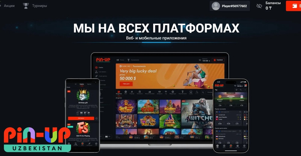 Pin-Up to‘lov usullari — UZcard, HUMO, kripto